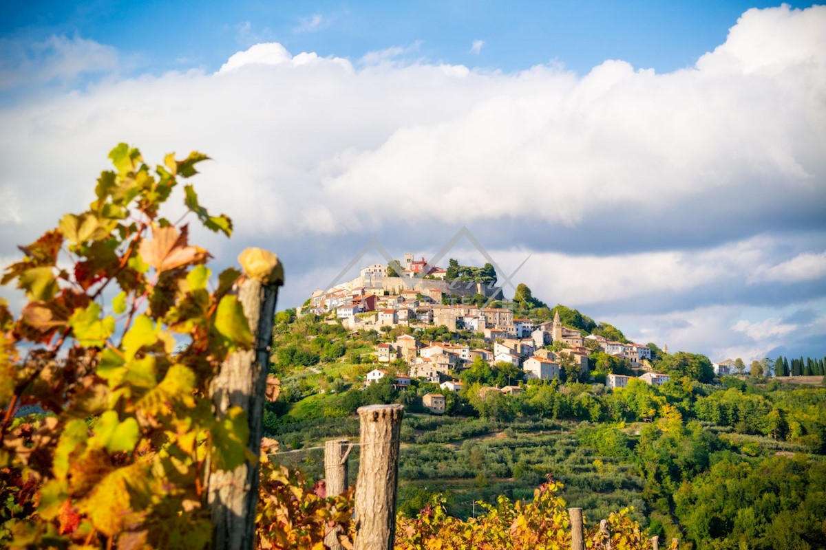 Parcela Na predaj - ISTARSKA MOTOVUN