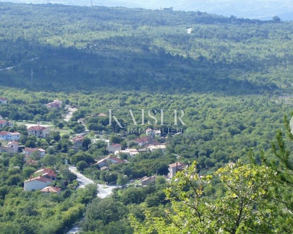 Pozemek na prodej 44000 m² – Labin