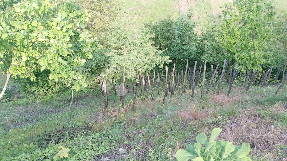 Pozemek Na prodej - VARAŽDINSKA LUDBREG