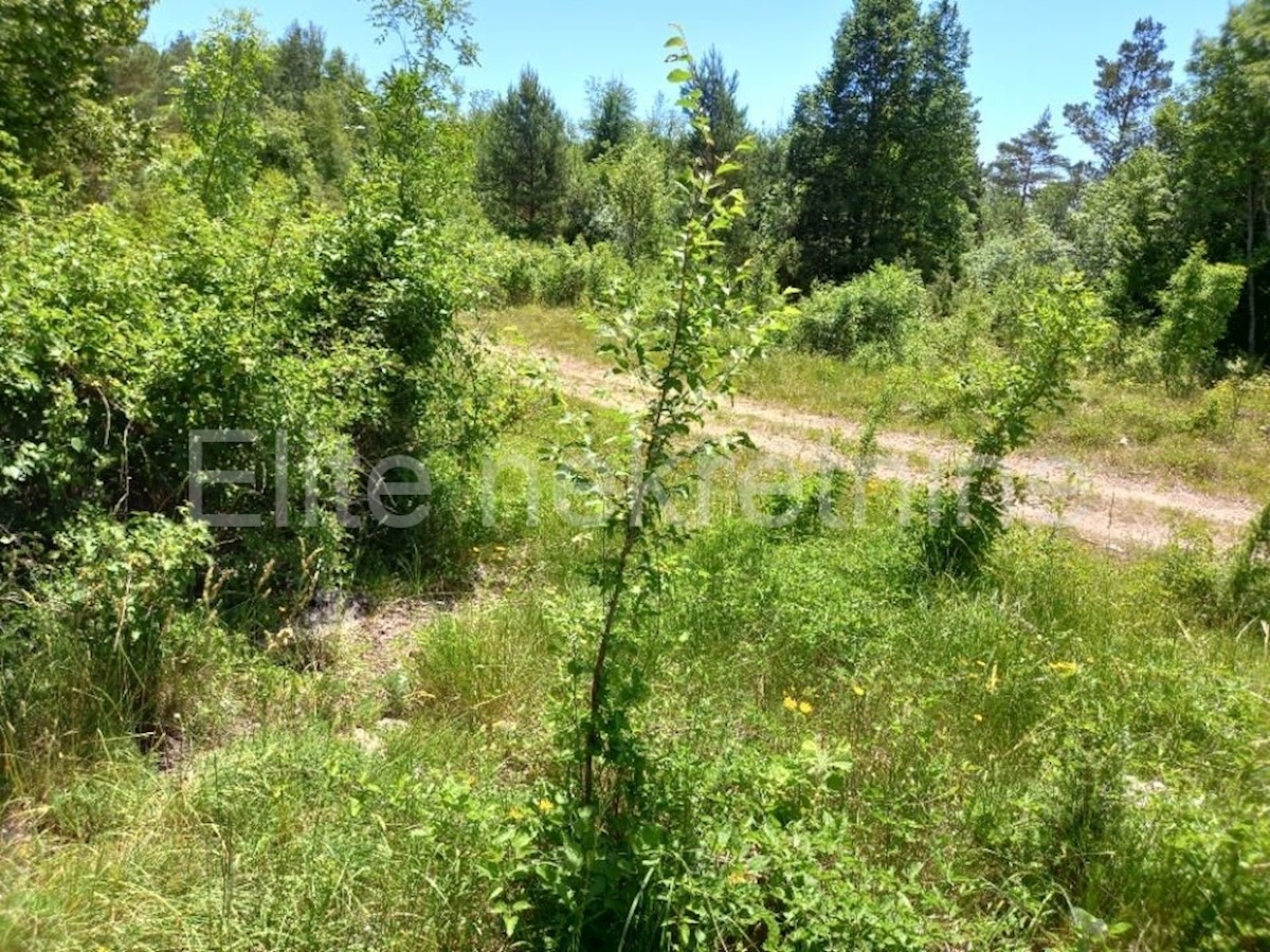 Land For rent RUPA