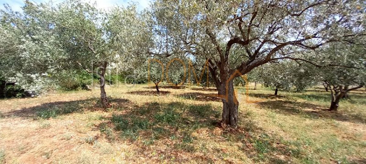Land For sale - Istarska Vodnjan - foto 1/21