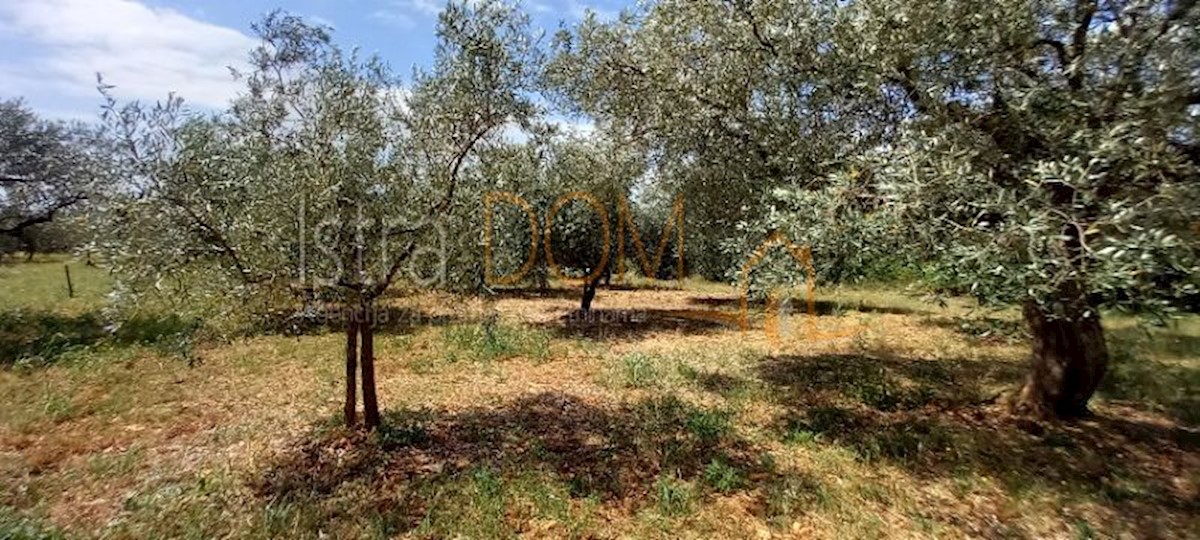 Land For sale - ISTARSKA VODNJAN