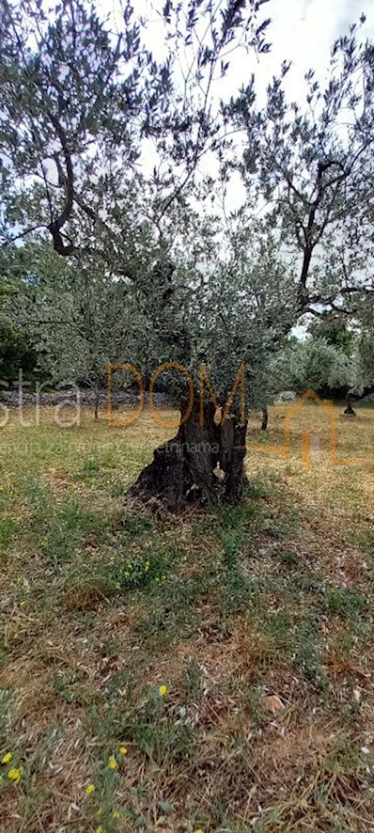 Land For sale - Istarska Vodnjan - foto 2/21