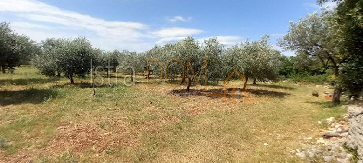 Land For sale - ISTARSKA VODNJAN