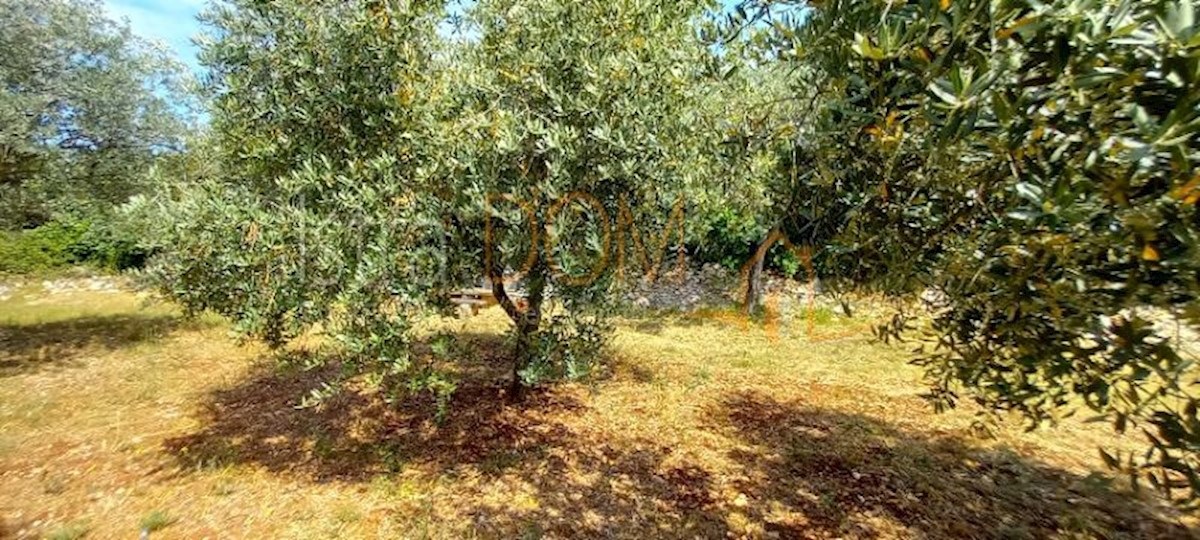 Land For sale - ISTARSKA VODNJAN