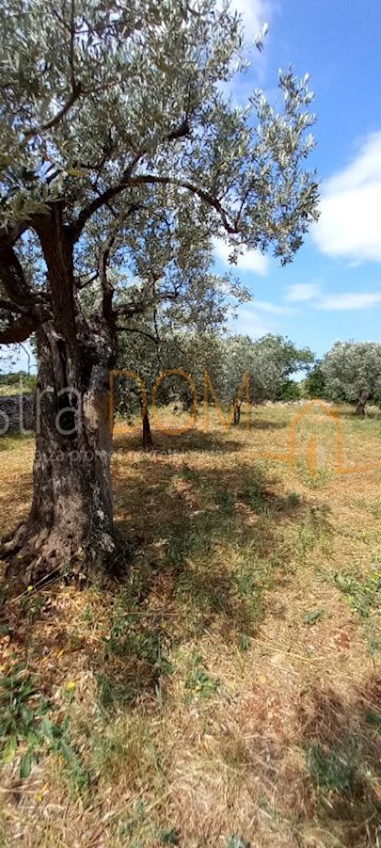 Land For sale - Istarska Vodnjan - foto 3/21