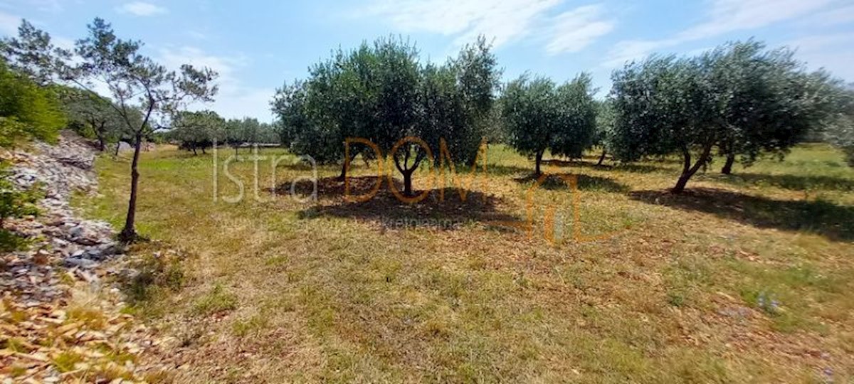 Land For sale - Istarska Vodnjan - foto 4/21