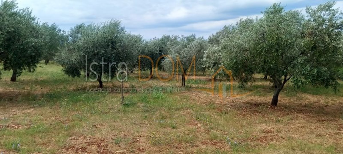Land For sale - Istarska Vodnjan - foto 5/21