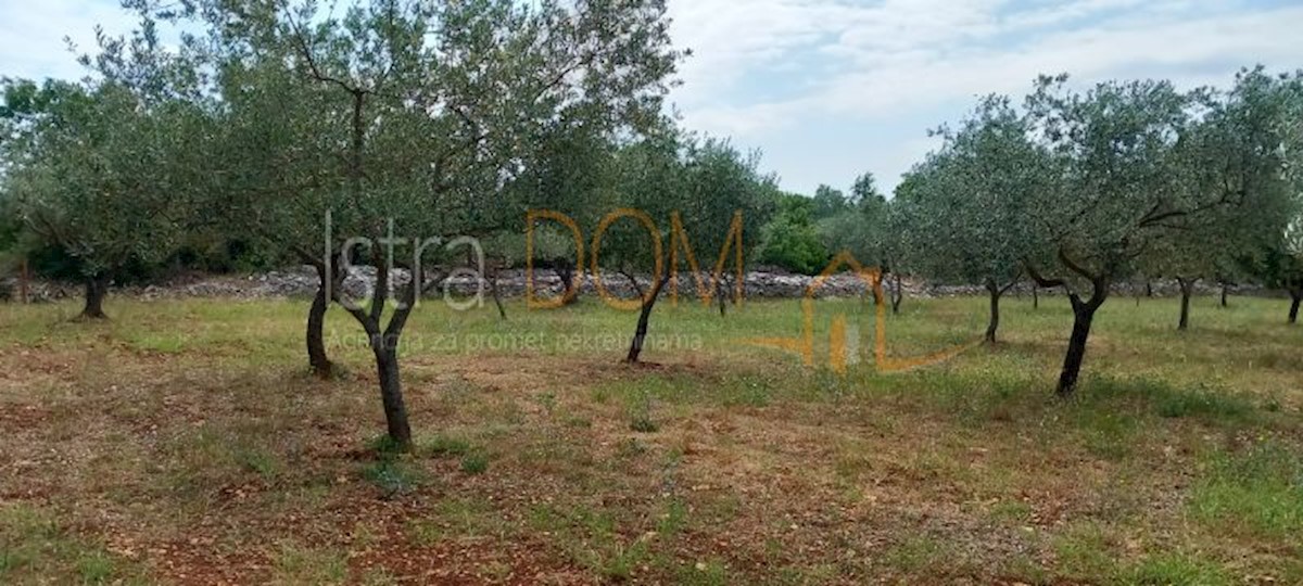 Land For sale - ISTARSKA VODNJAN