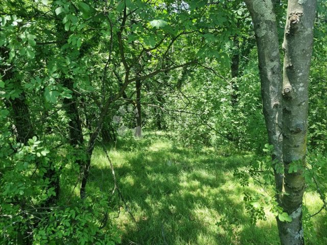 Zemljište na prodaju 5870 m² – Rijeka