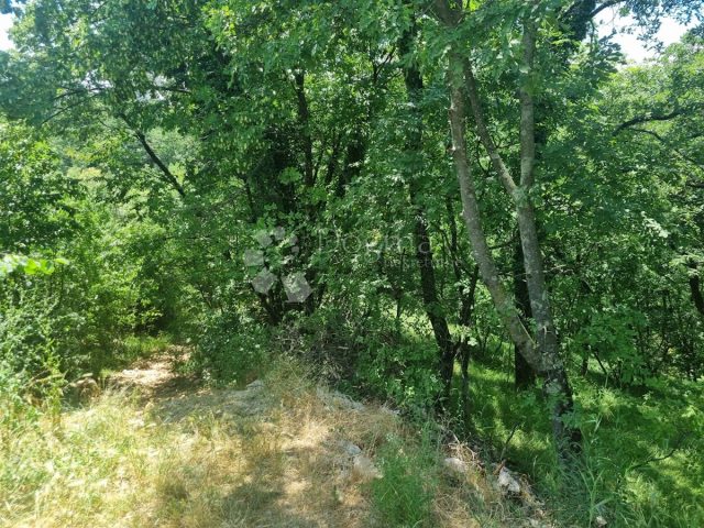 Parcela Naprodaj - Primorsko-goranska Rijeka - foto 5/5