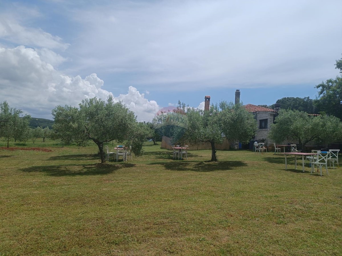 Commerciale In vendita - ISTARSKA ROVINJ