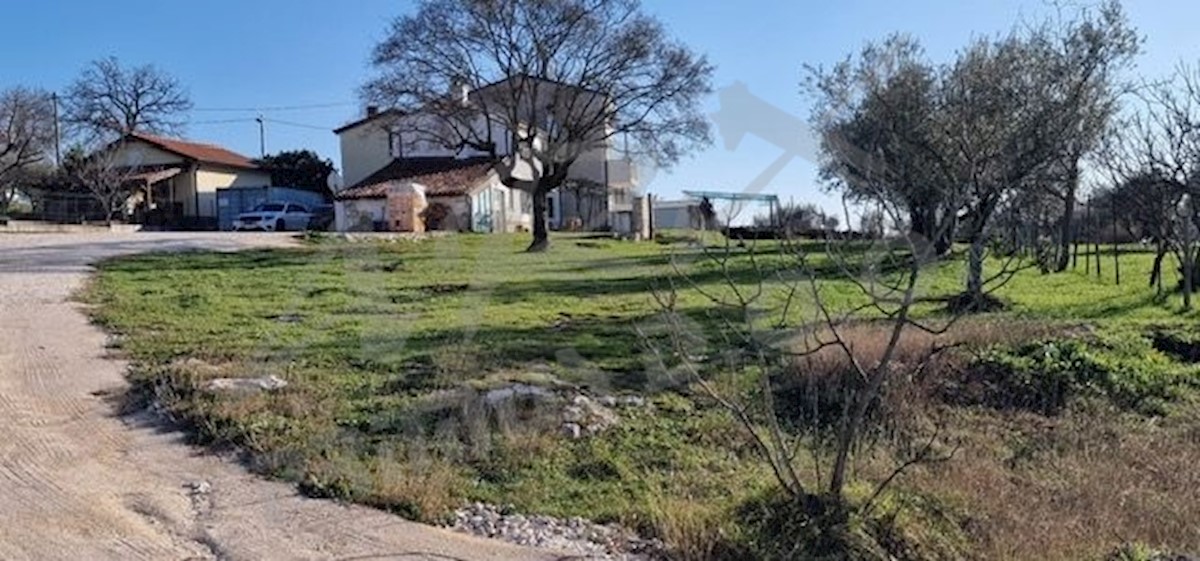 Dom Na predaj UMAG
