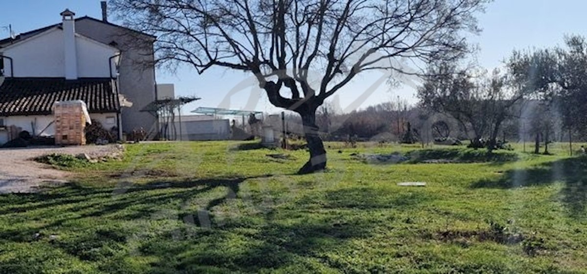 Dom Na predaj - ISTARSKA UMAG