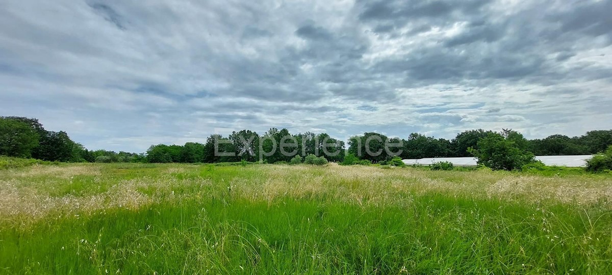 Terreno In vendita - ISTARSKA KAŠTELIR