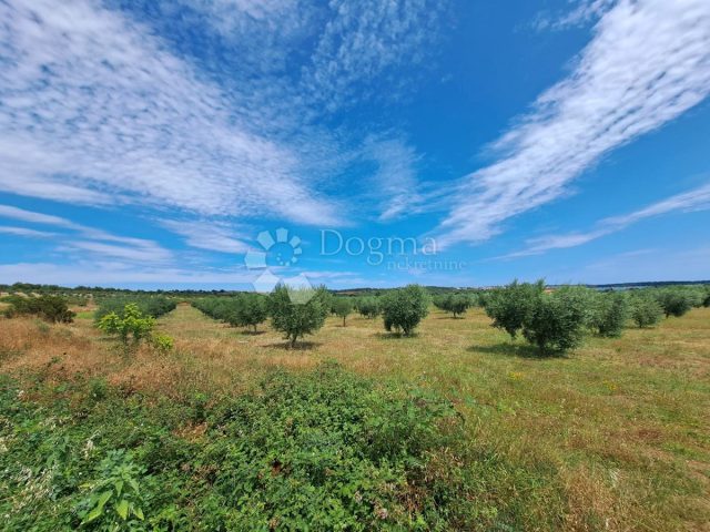 Parcela na predaj 25000 m² – Pomer