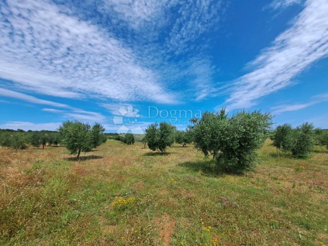 Parcela Naprodaj - Istarska Medulin - foto 2/13