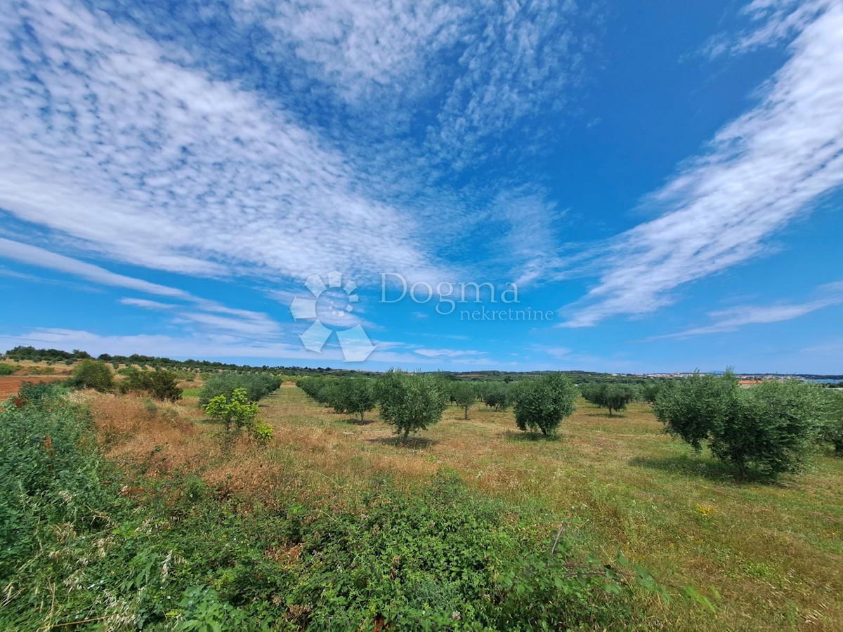 Zemljište Na prodaju - ISTARSKA MEDULIN