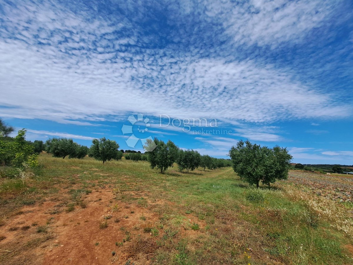 Zemljište Na prodaju - ISTARSKA MEDULIN