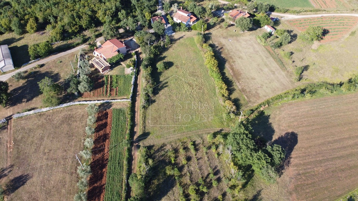 Terreno In vendita - ISTARSKA MOTOVUN