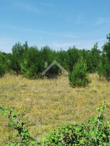 Pozemek na prodej 1861 m² – Vir