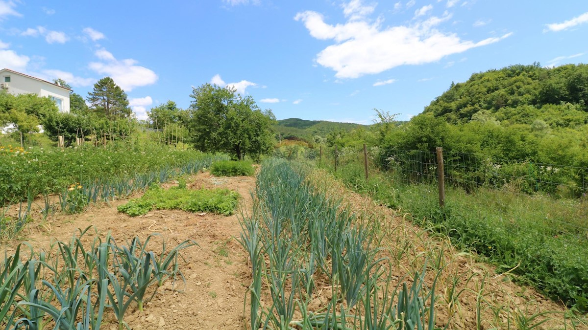 Kuća Na prodaju - ISTARSKA PAZIN