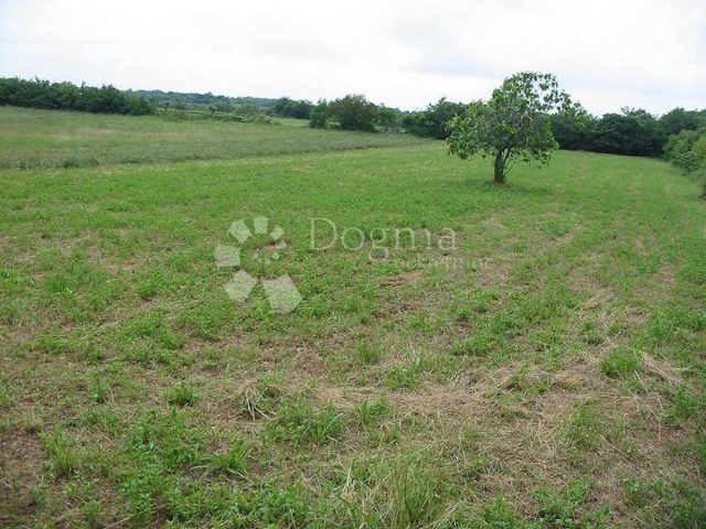 Pozemok na predaj 4054 m² – Barban