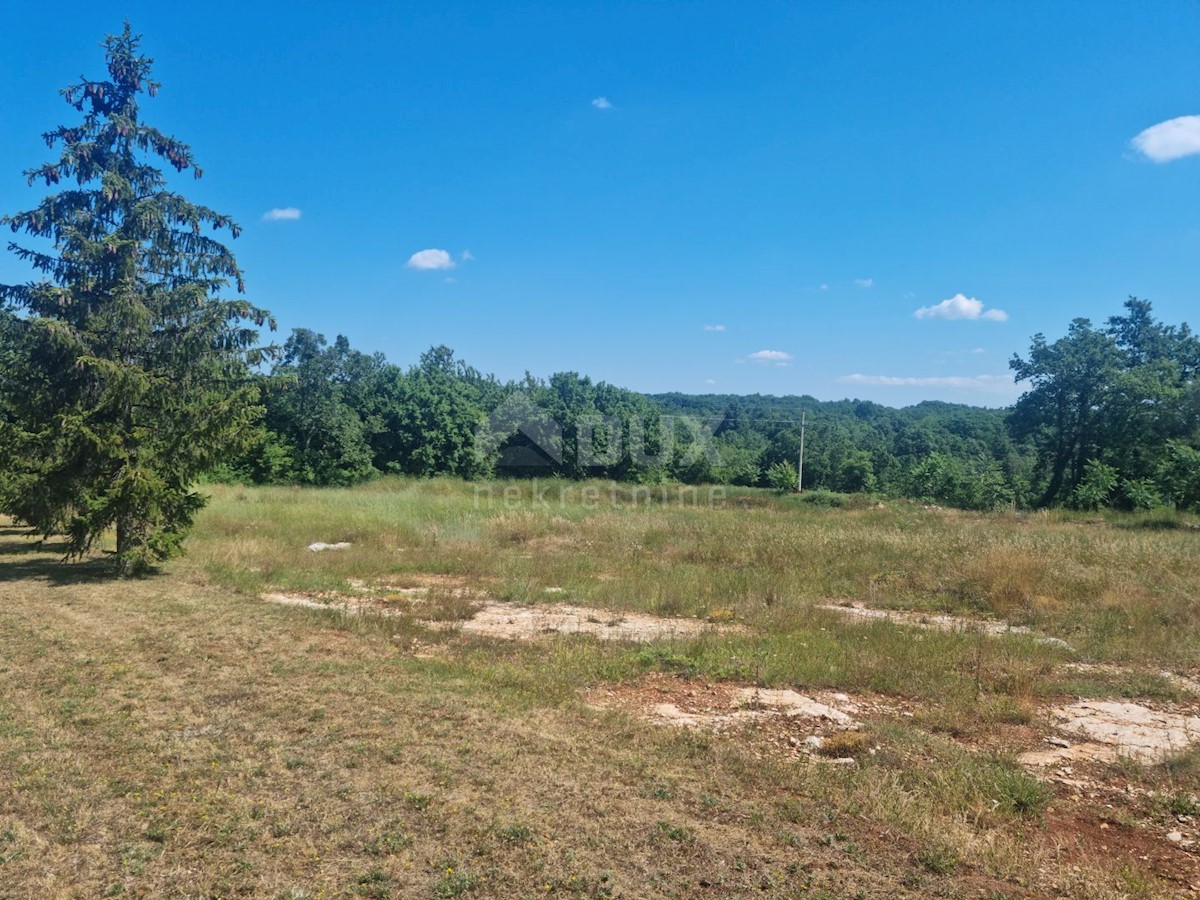 Land For sale - ISTARSKA TINJAN