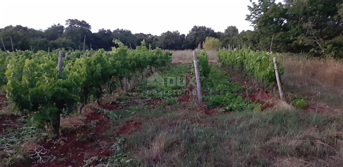 Działka Na sprzedaż - ISTARSKA ROVINJ