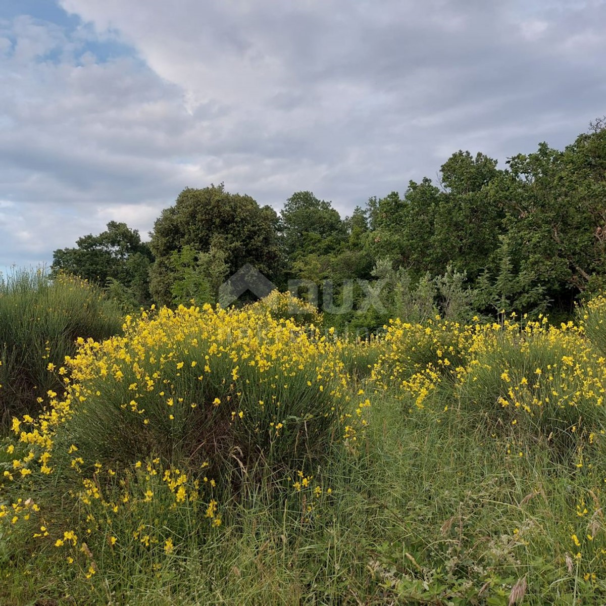 Działka Na sprzedaż - ISTARSKA ROVINJ