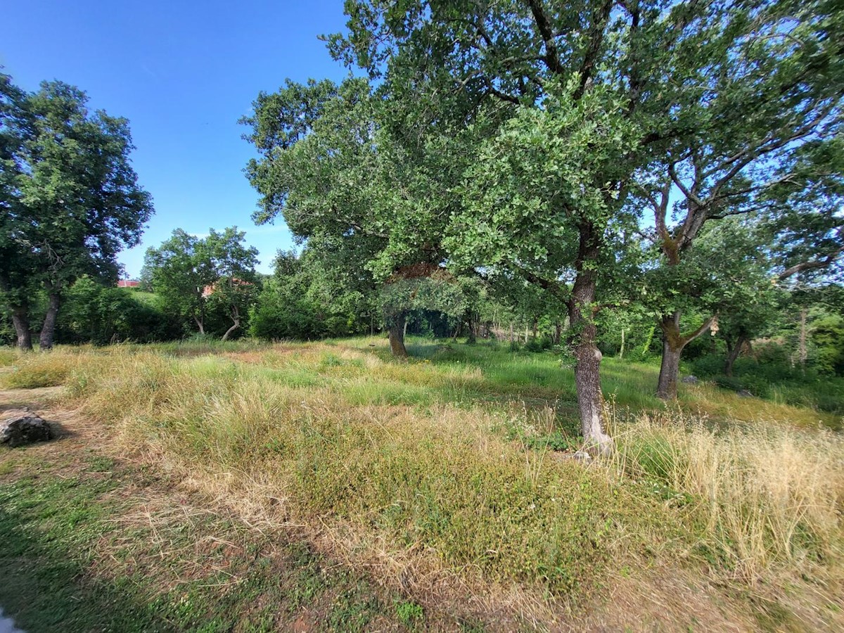 Casa In vendita - ISTARSKA SVETI LOVREČ