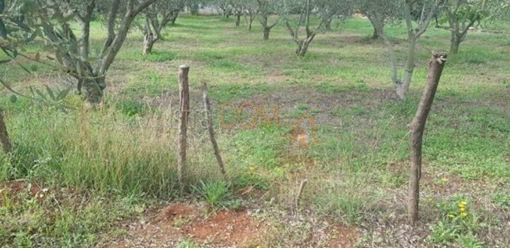 Pozemek na prodej 1400 m² – Krnica