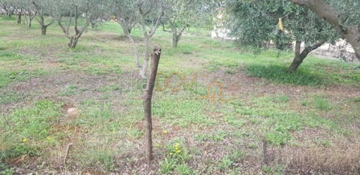 Terreno In vendita - Istarska Marčana - foto 2/2