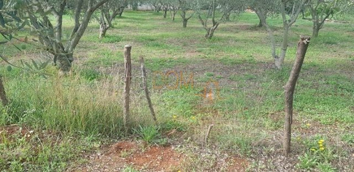 Terreno In vendita - ISTARSKA MARČANA