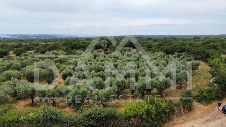 Terrain à vendre 2082 m² – Galižana