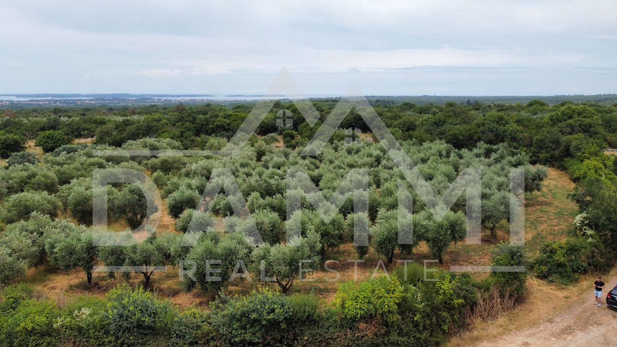 Land For sale - ISTARSKA VODNJAN