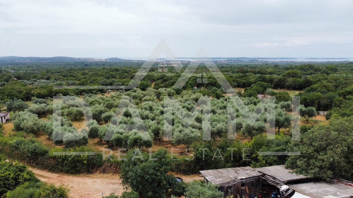Land For sale - ISTARSKA Vodnjan