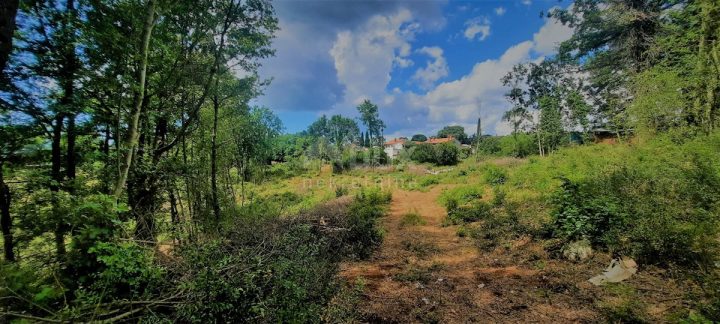 Pozemok na predaj 5812 m² – Žminj