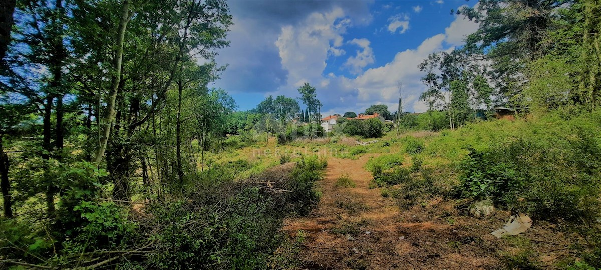 Terreno In vendita - ISTARSKA ŽMINJ