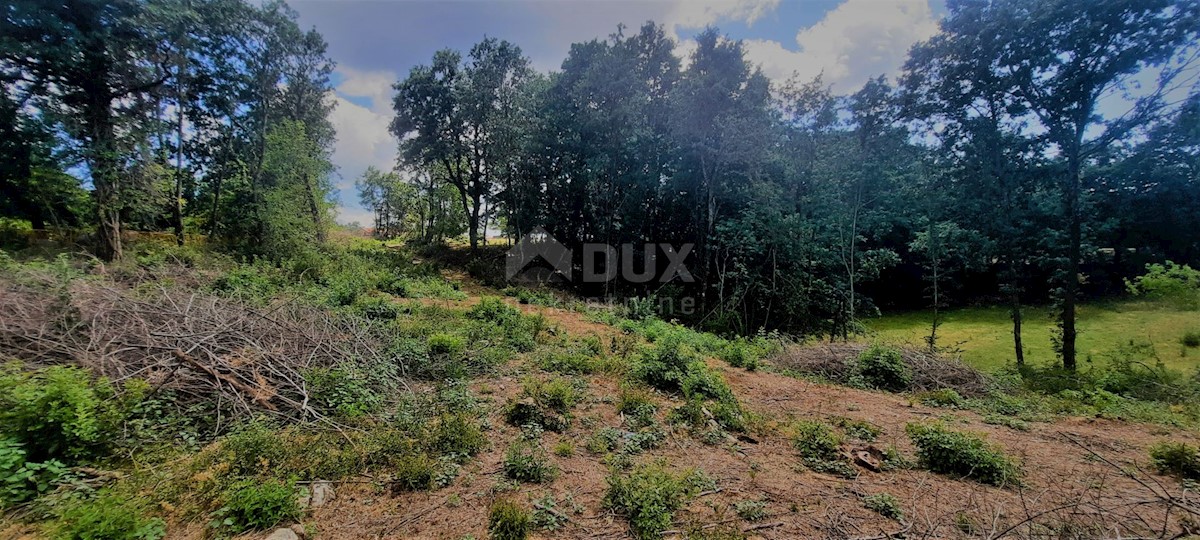 Terreno In vendita - ISTARSKA ŽMINJ
