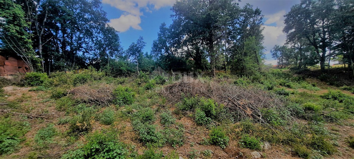 Terreno In vendita - ISTARSKA ŽMINJ