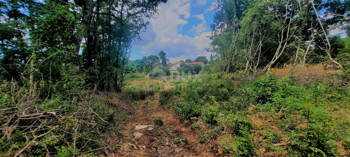 Terreno In vendita - ISTARSKA ŽMINJ