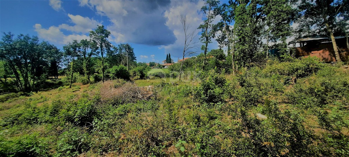Terreno In vendita - ISTARSKA ŽMINJ