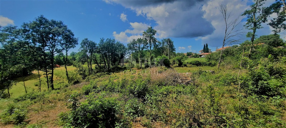 Terreno In vendita - ISTARSKA ŽMINJ