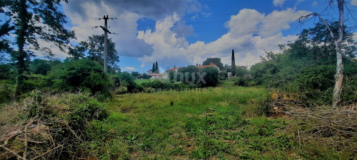 Terreno In vendita - ISTARSKA ŽMINJ