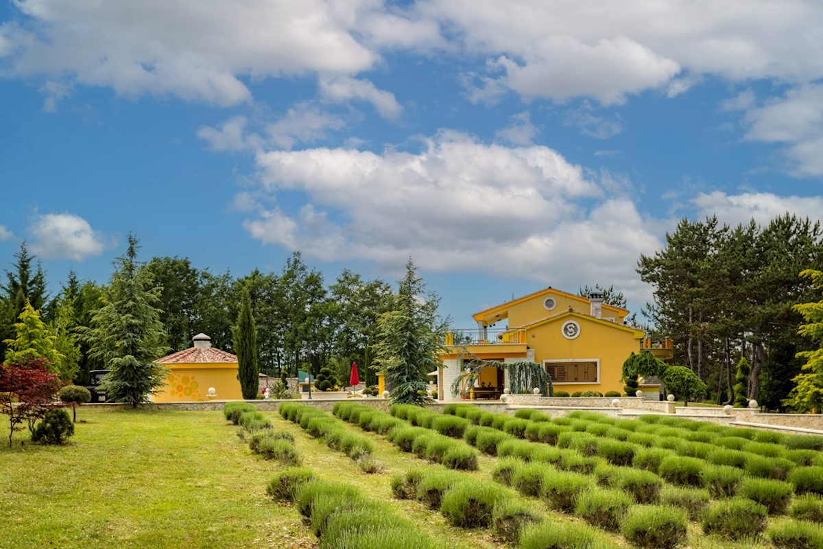 Dom Na sprzedaż - ISTARSKA ŽMINJ