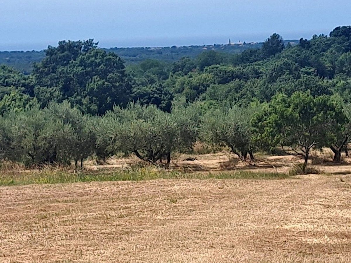 Pozemek Na prodej - ISTARSKA VIŠNJAN