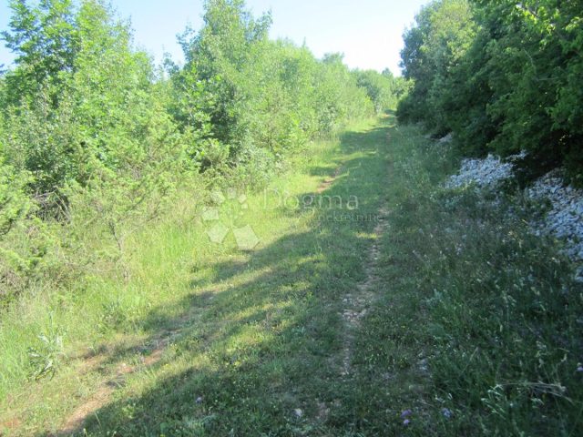 Terreno in vendita 12000 m² – Rakalj