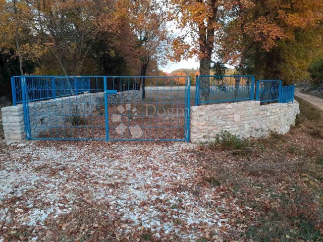 Zemljište na prodaju 4888 m² – Šajini