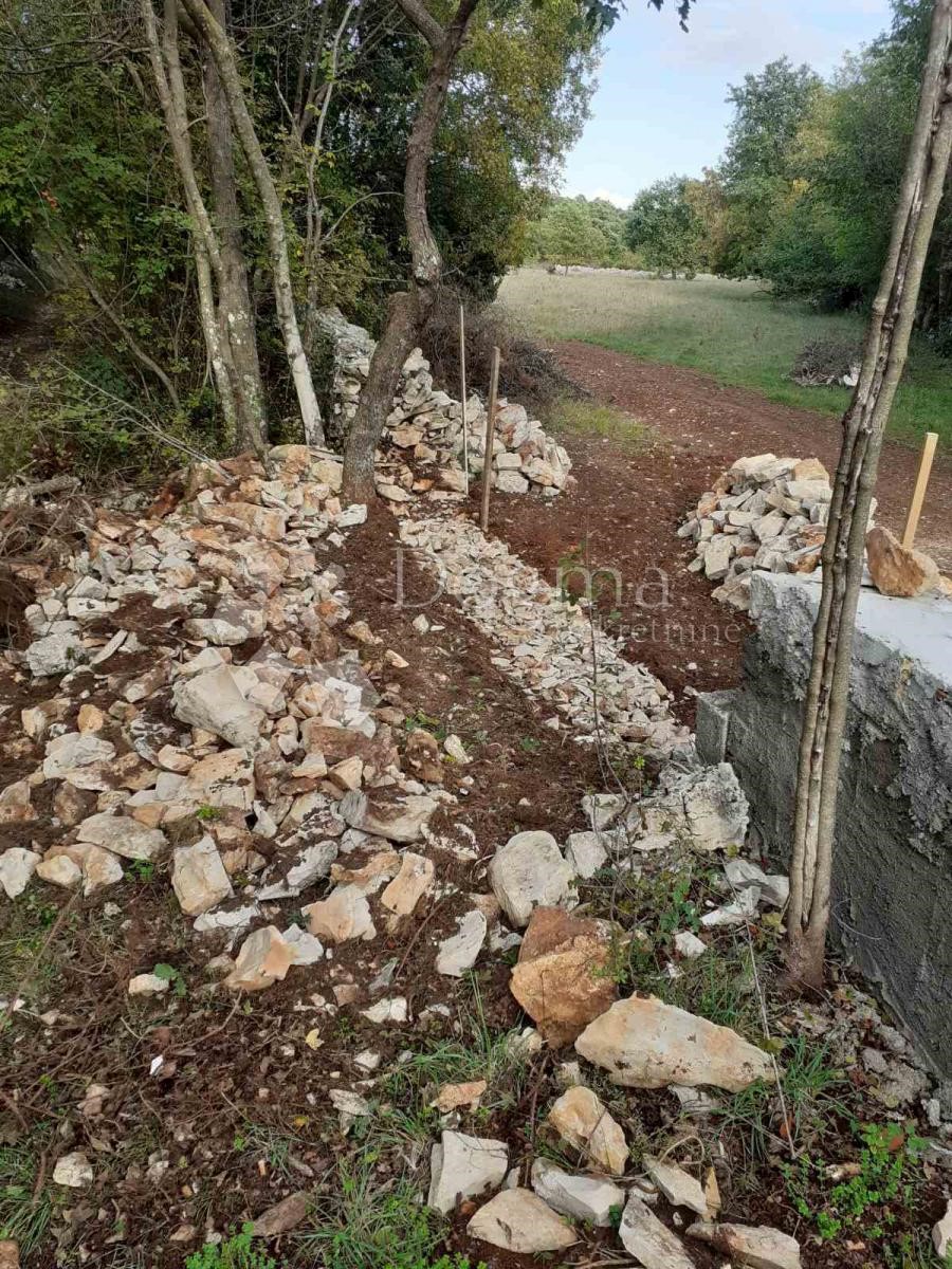 Parcela Naprodaj - ISTARSKA Barban
